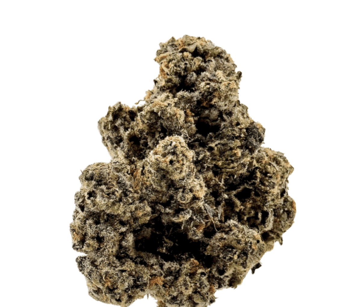 CM Craft No.1 30/1 - Scratch n Sniff