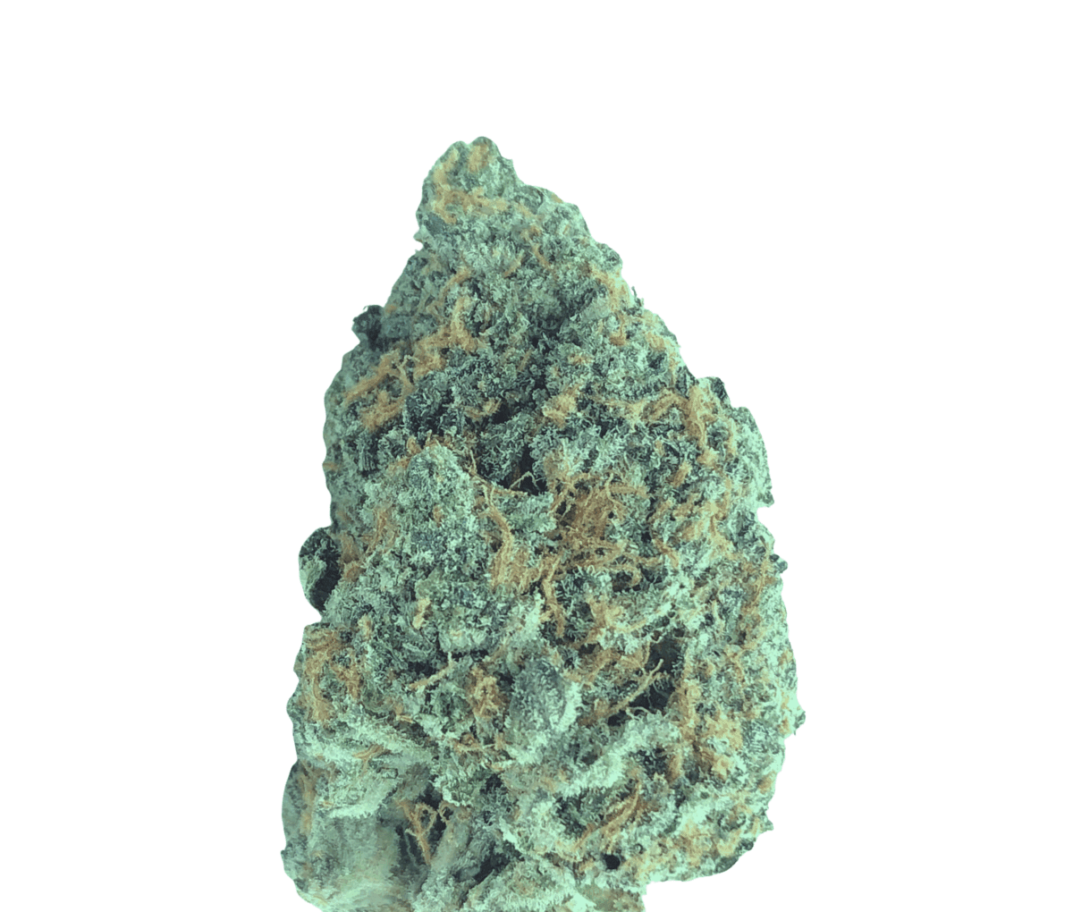 Demecan BB Regular Drop 25/1 Prodigy