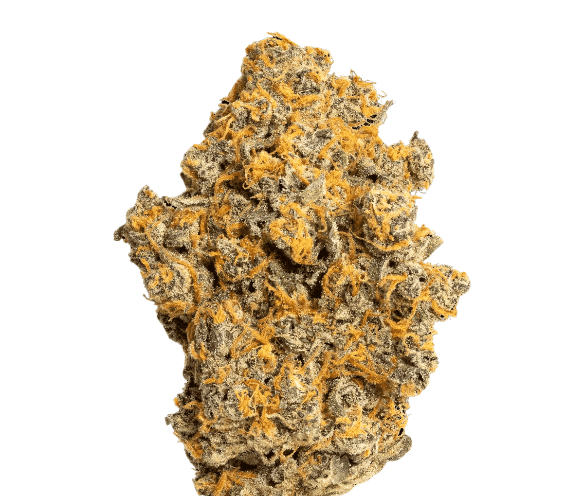 Canify Cannabis Flos 27/1 CDA Ku. Pink Slurricane Canify Cannabis Flos 27/1 CDA Ku. Pink Slurricane