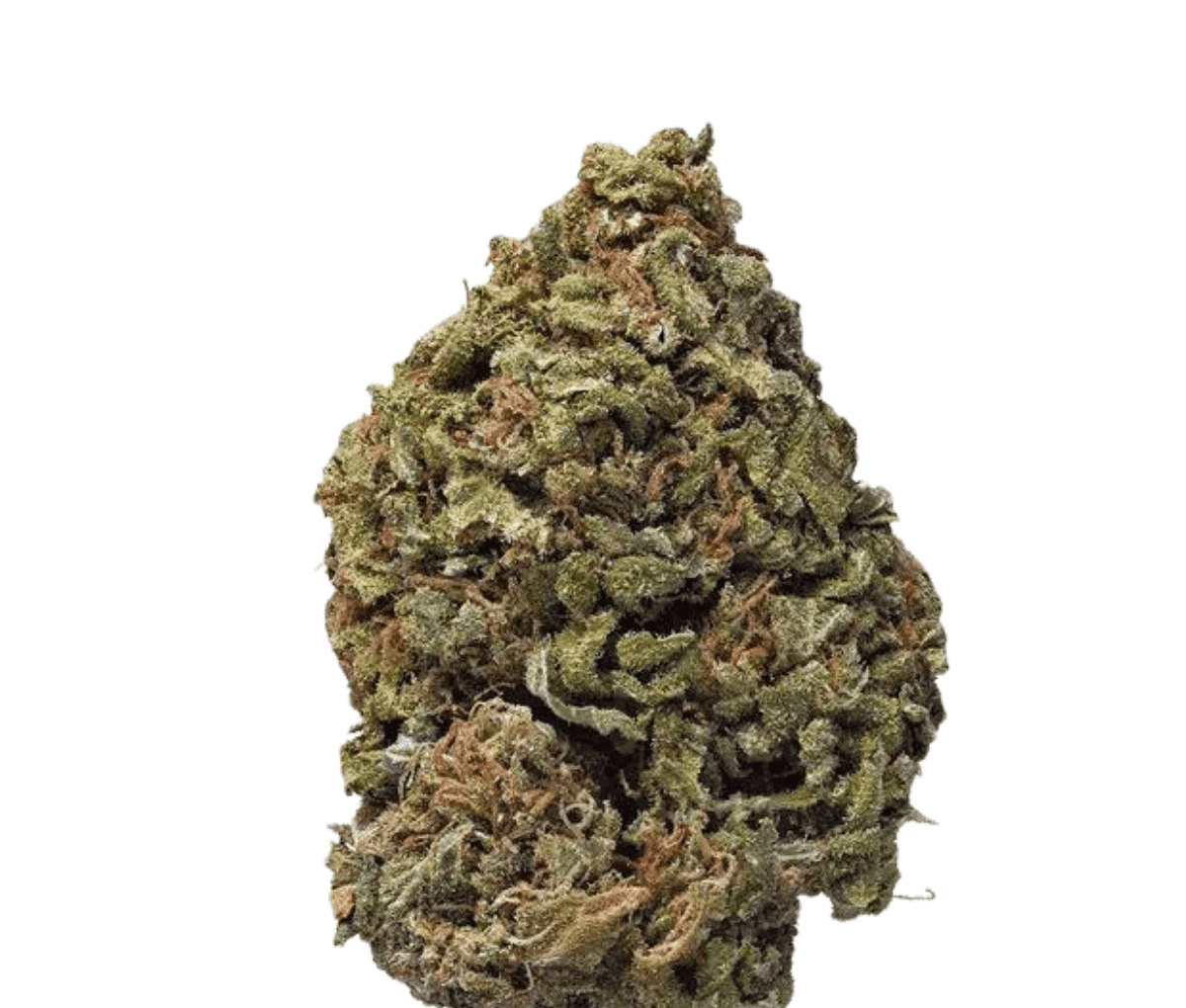 Cannamedical indica classic URY - White Gorilla