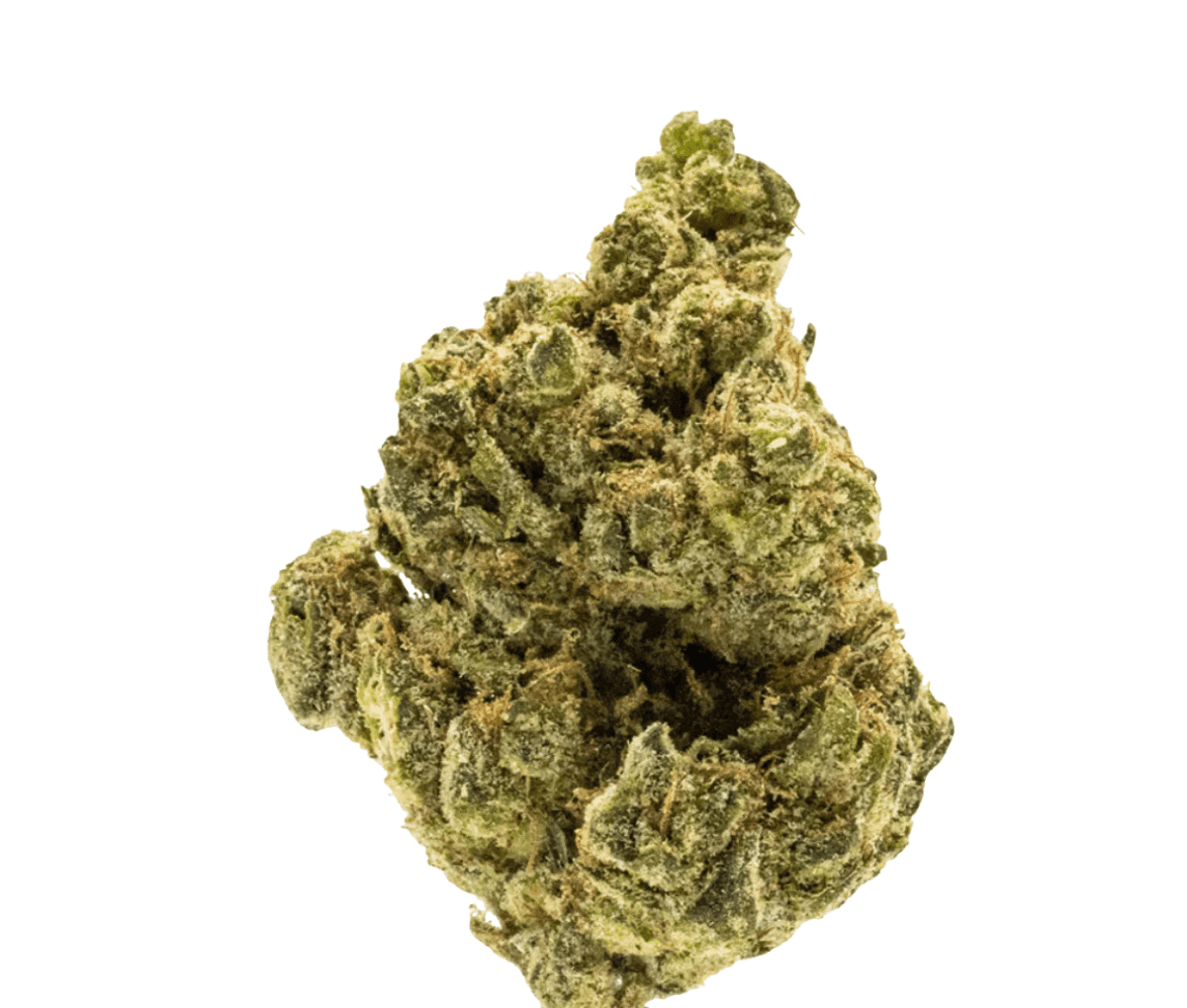 187 Cannabisflower 24K THC25