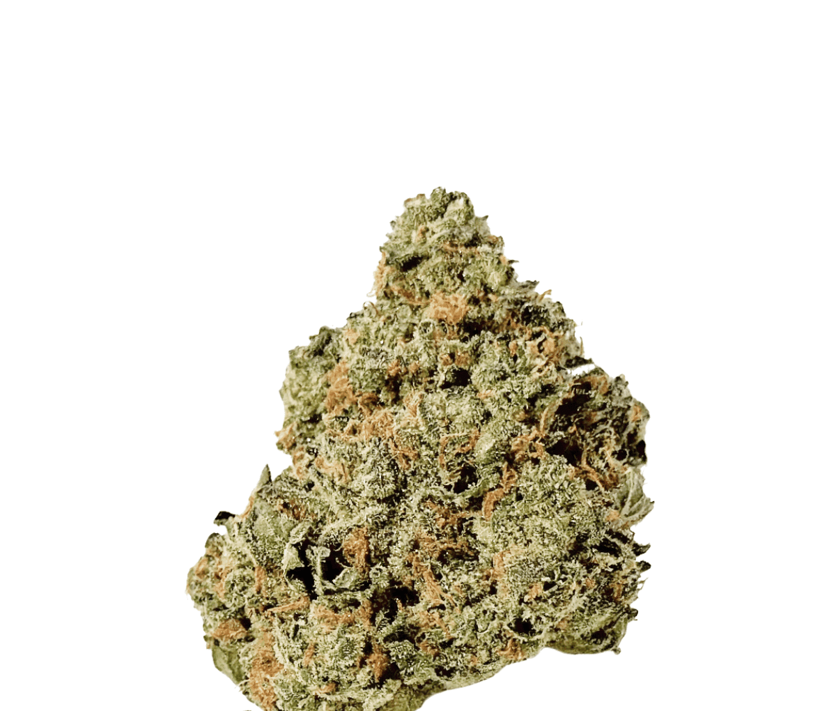 Barongo 26/1 DR Gastro Pop - Apple Friter x Cookies and Cream Barongo 26/1 DR Gastro Pop - Apple Friter x Cookies and Cream