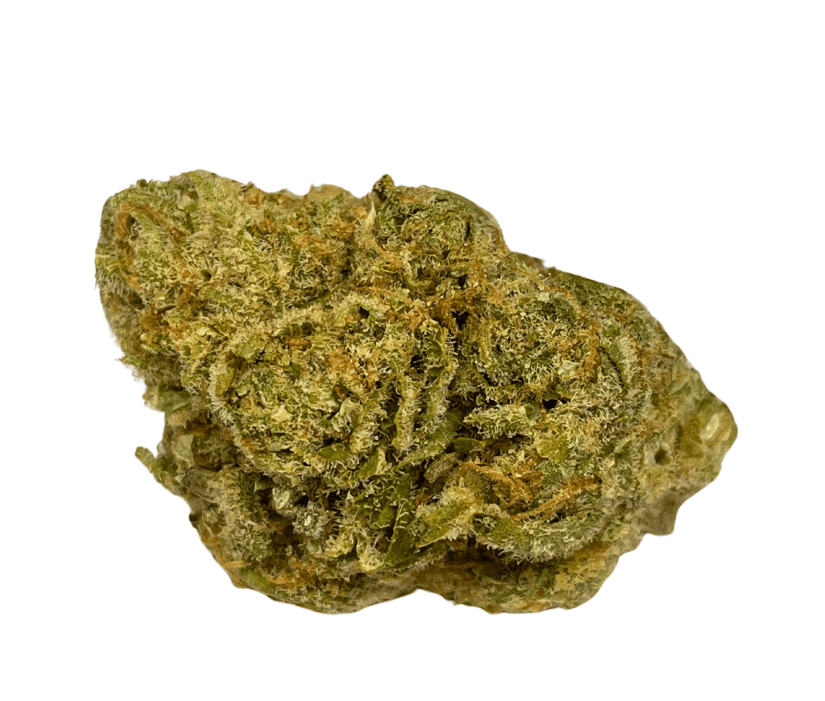 All Nations LT 21/1 - Lemon Tartz