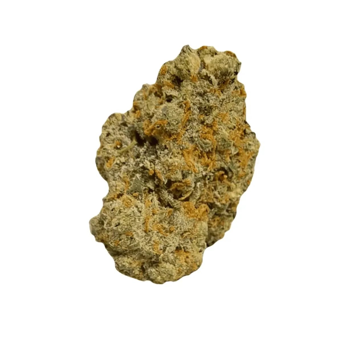 Huala 30/1 UK CIN Cinderella Kush Huala 30/1 UK CIN Cinderella Kush