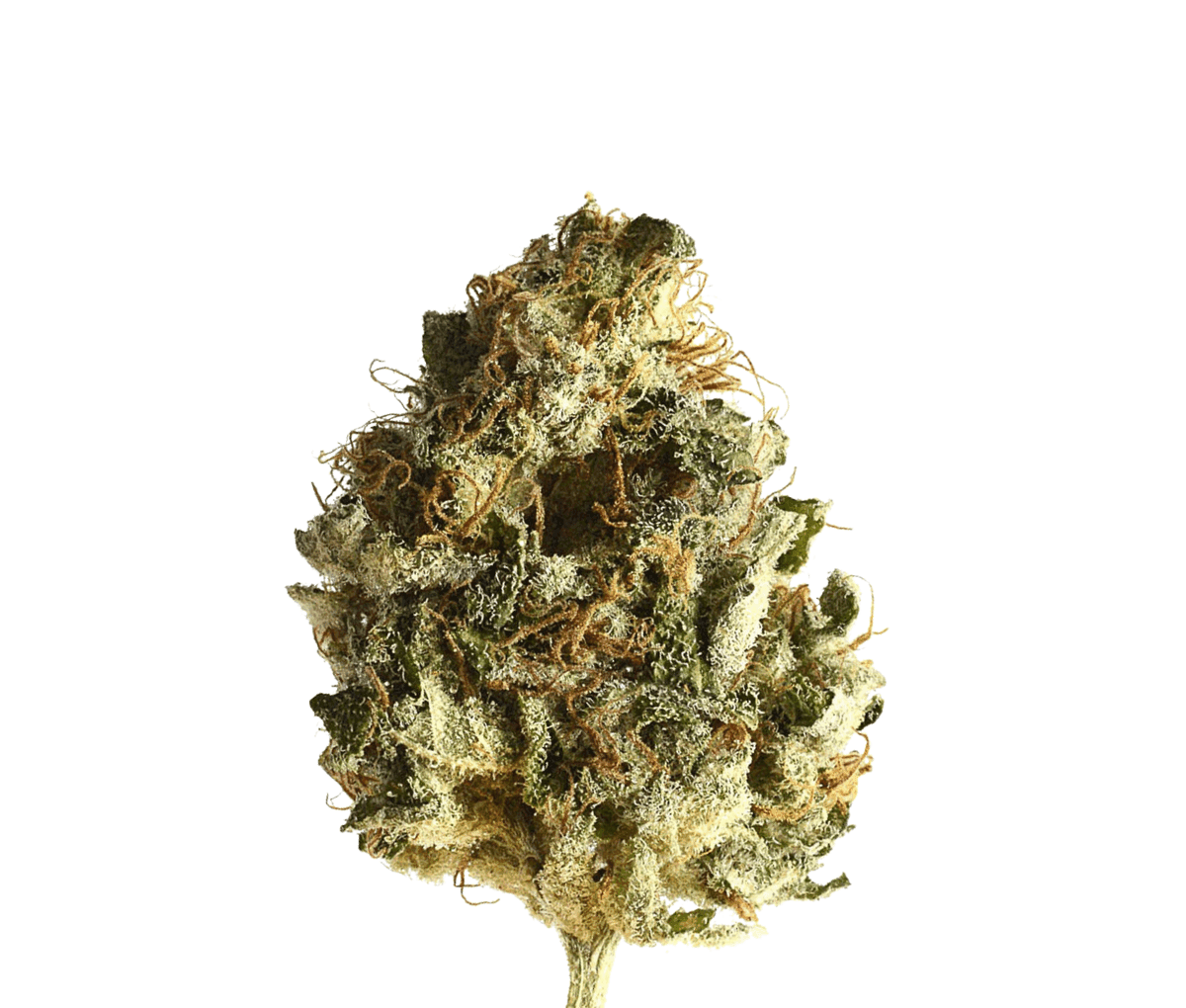 REMEXIAN 30/1 GJY CHO - Chocolate Kush