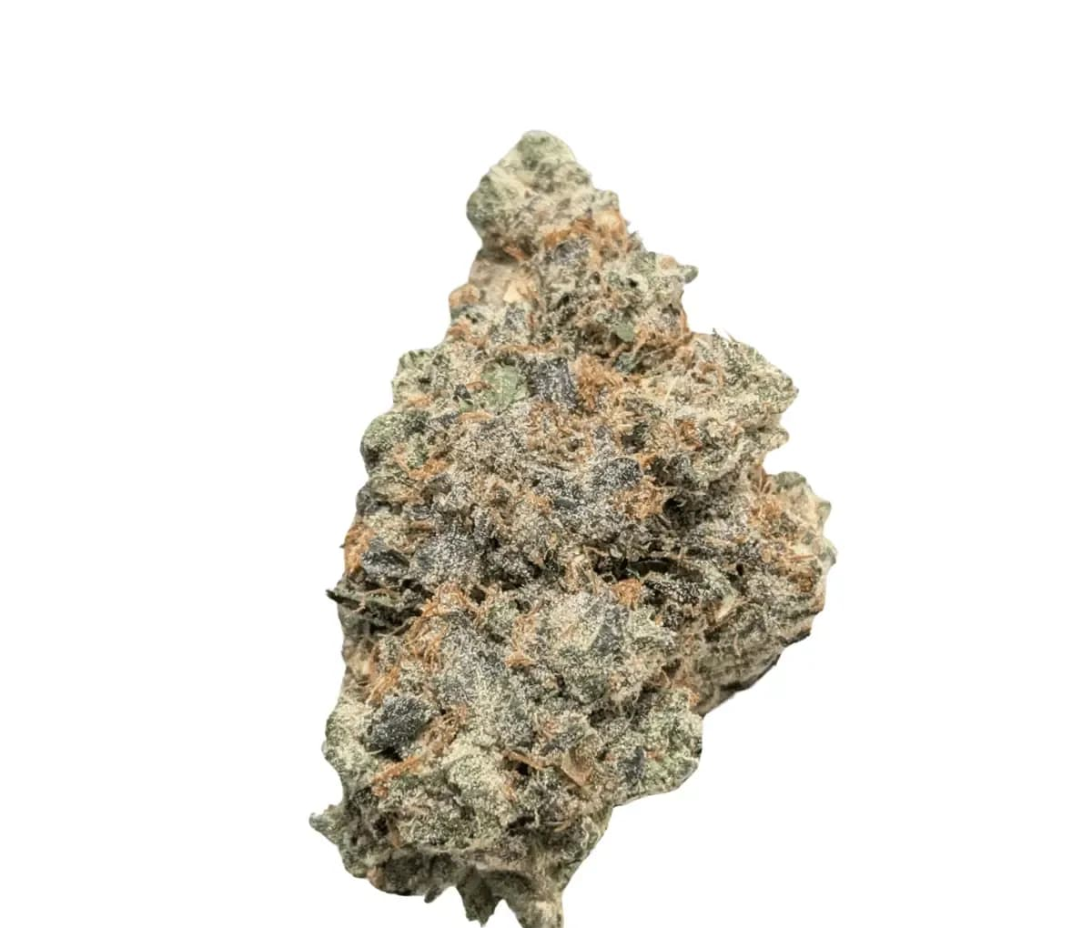 Bathera 33/1 PP Polar Pop