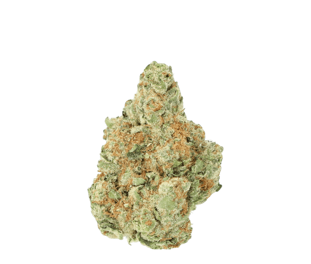 Cannamedical Sativa forte - Tangie Chem Cannamedical Sativa forte - Tangie Chem
