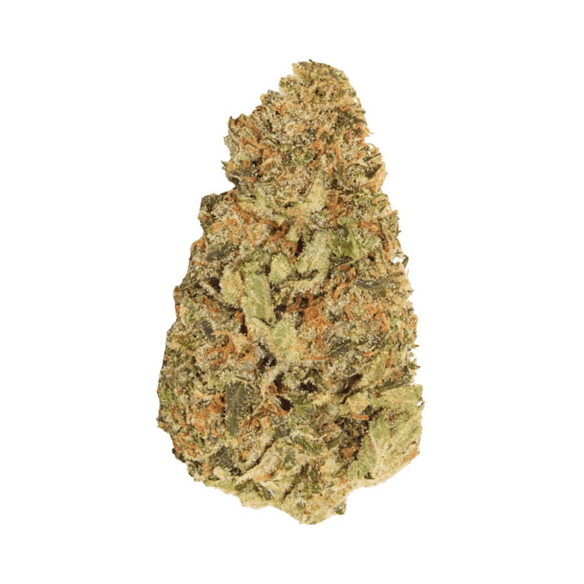 HiDealz 24/1 MS LIB smalls - Liberty Haze HiDealz 24/1 MS LIB smalls - Liberty Haze