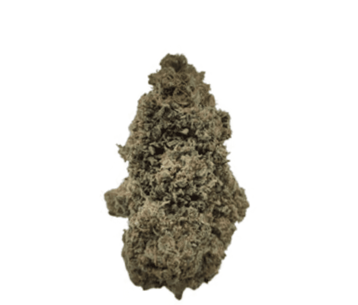 Cannamedical Indica Forte DK - Sky Berry Kush