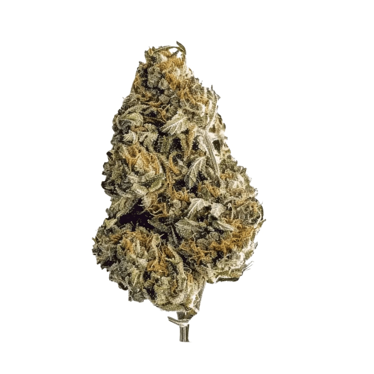 Remexian 33/1 TRF CHD - Chemdawg