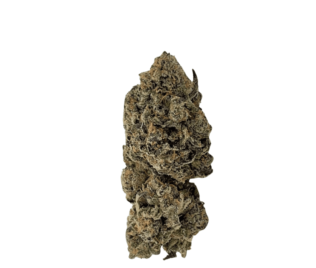 IMC GRZ THC 25 - Jungel Pop