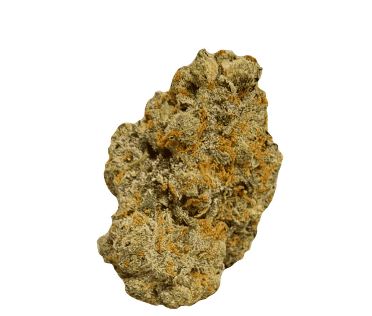 Huala 22/1 UK CIN - Cinderella Kush Huala 22/1 UK CIN - Cinderella Kush