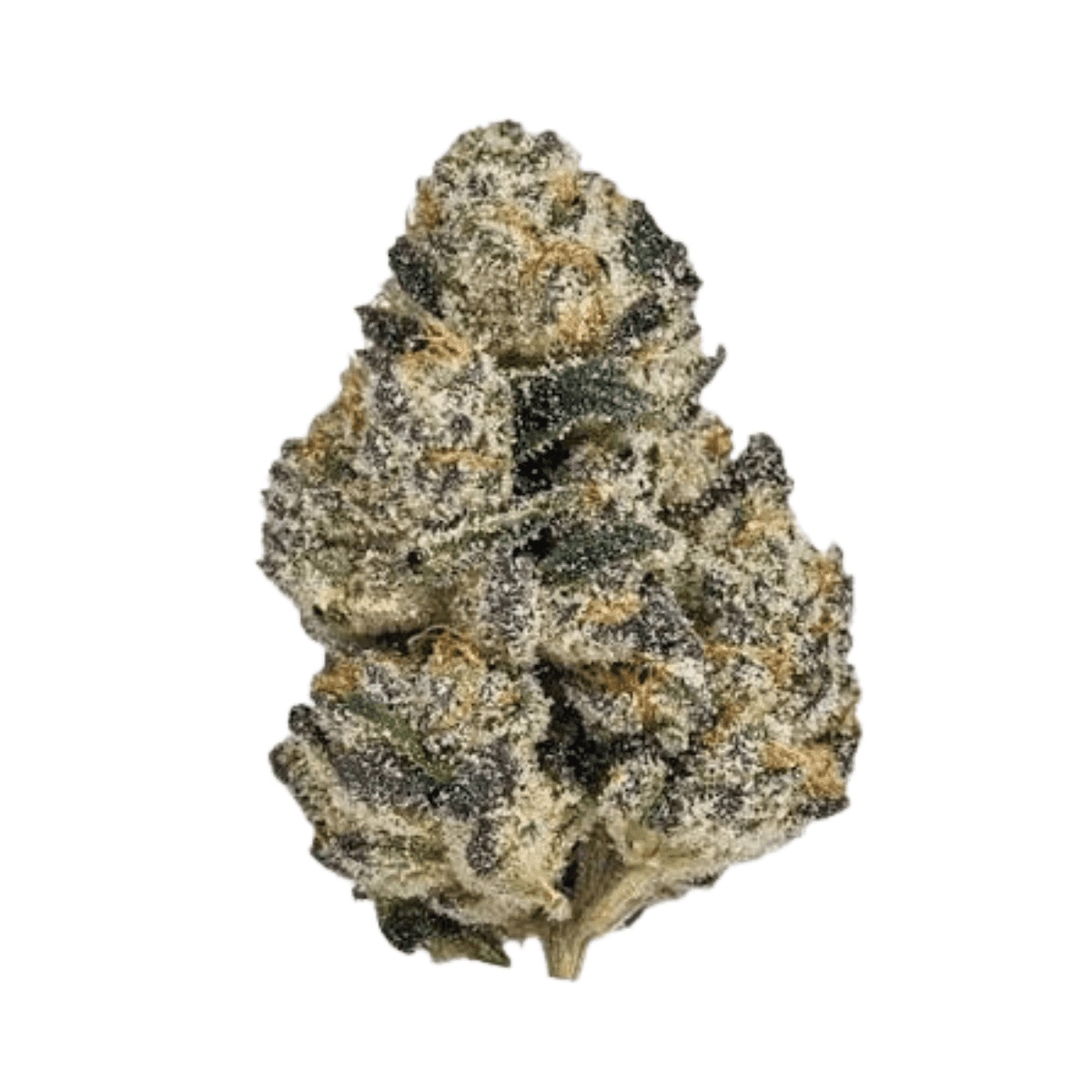 Canopy CME 28 - Chemsicle Canopy CME 28 - Chemsicle