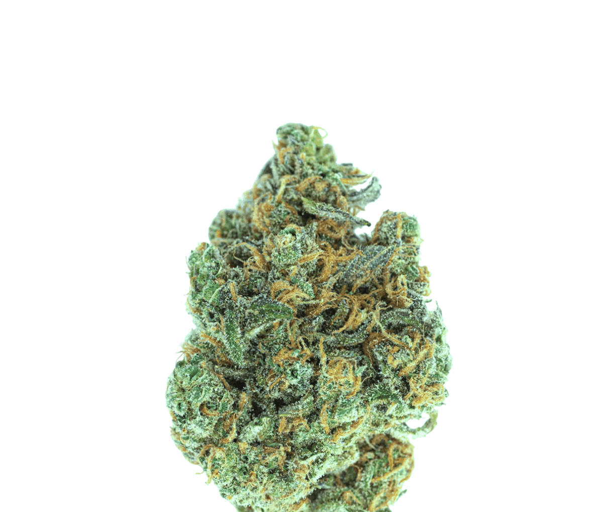 All Nations Pretty Smalls MR 21/1 Midnight Runtz