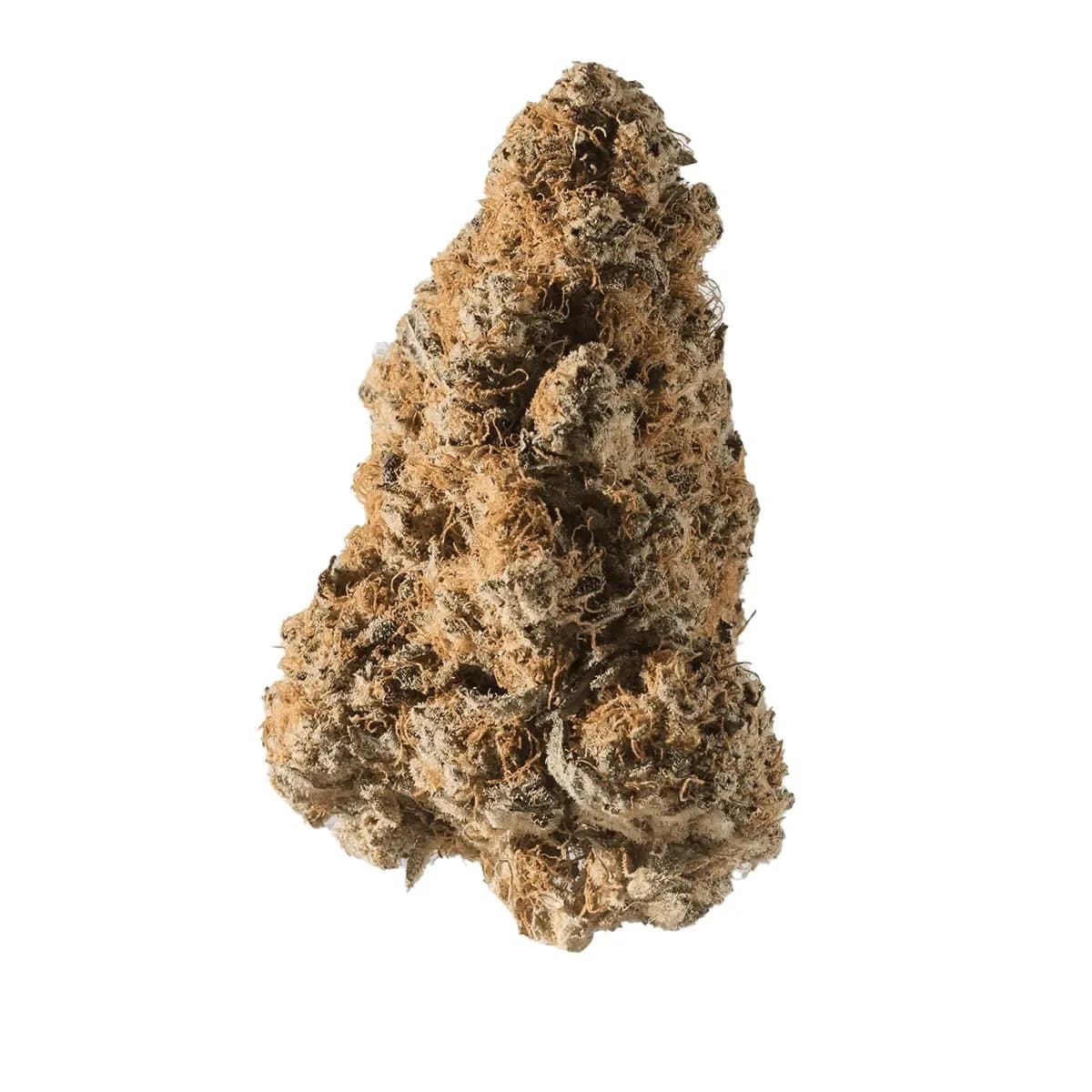 Medical Saints 24/1 PLC Platinum Garlic 