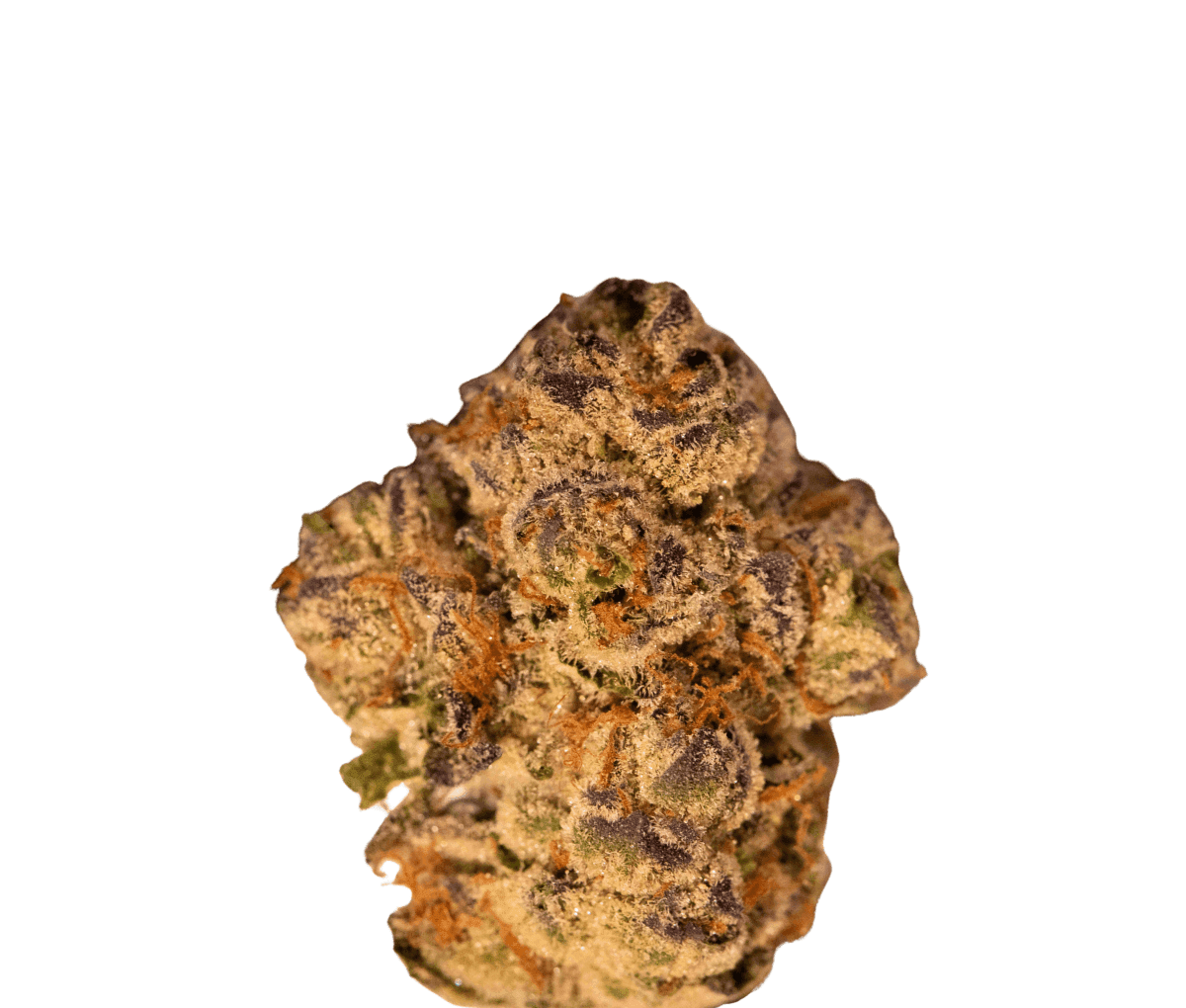 Medicus 21/1 YAR ADI - Astral Drift