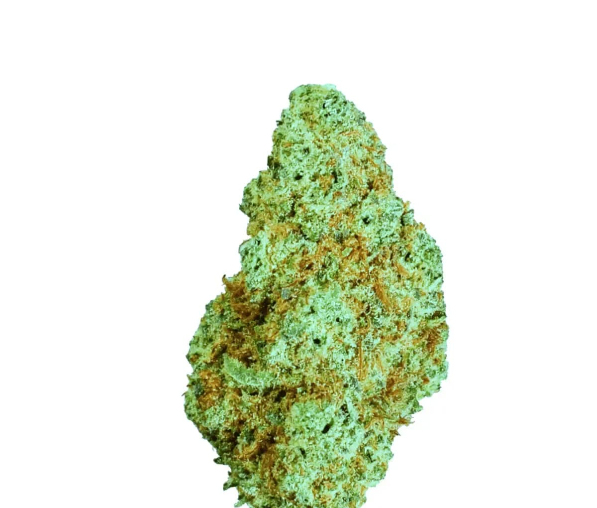 Demecan Core Lume 26:01 - Lemon Z