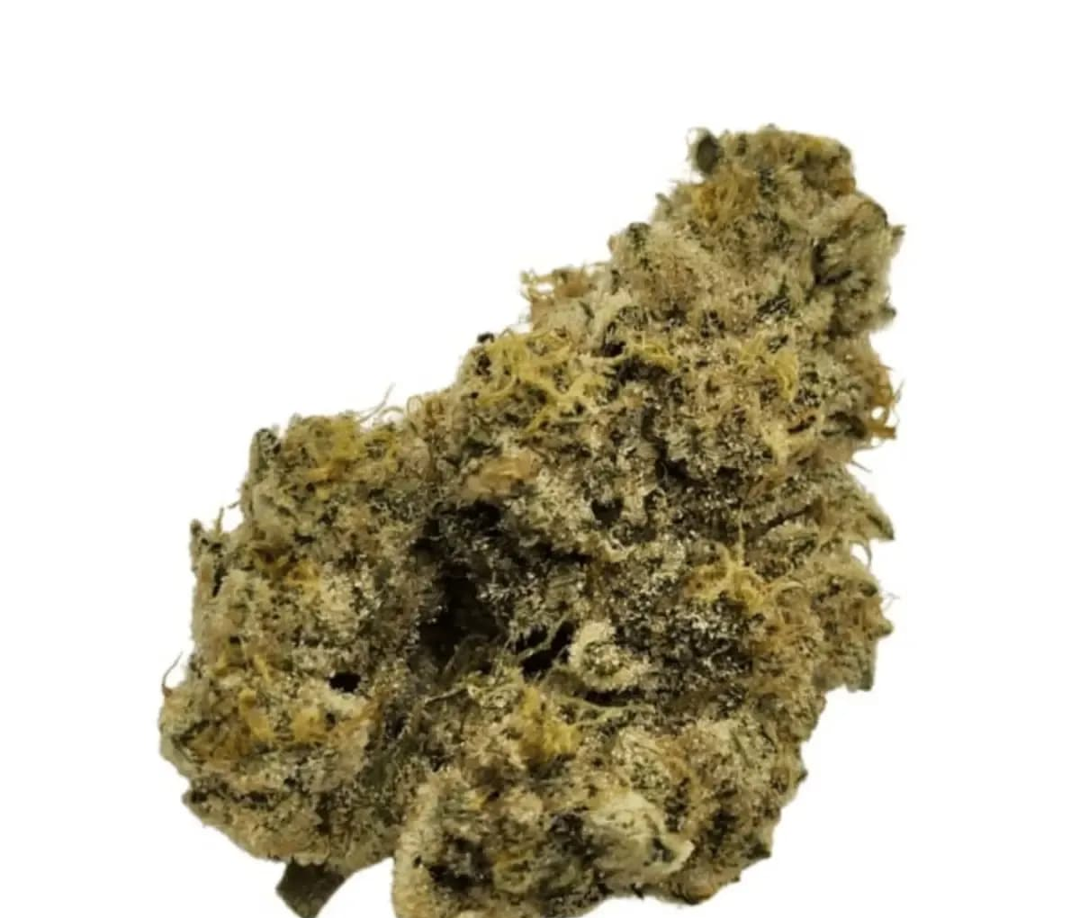 Nimbus easy 26/1 - French Cookies Nimbus easy 26/1 - French Cookies