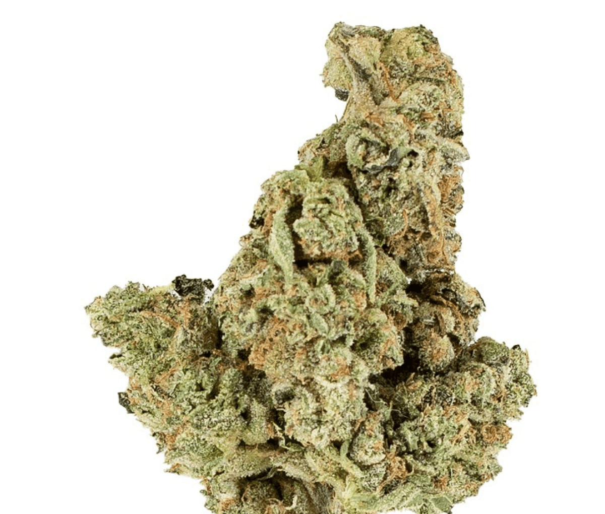 Ostara DT - Dirty Taxi Ostara DT - Dirty Taxi