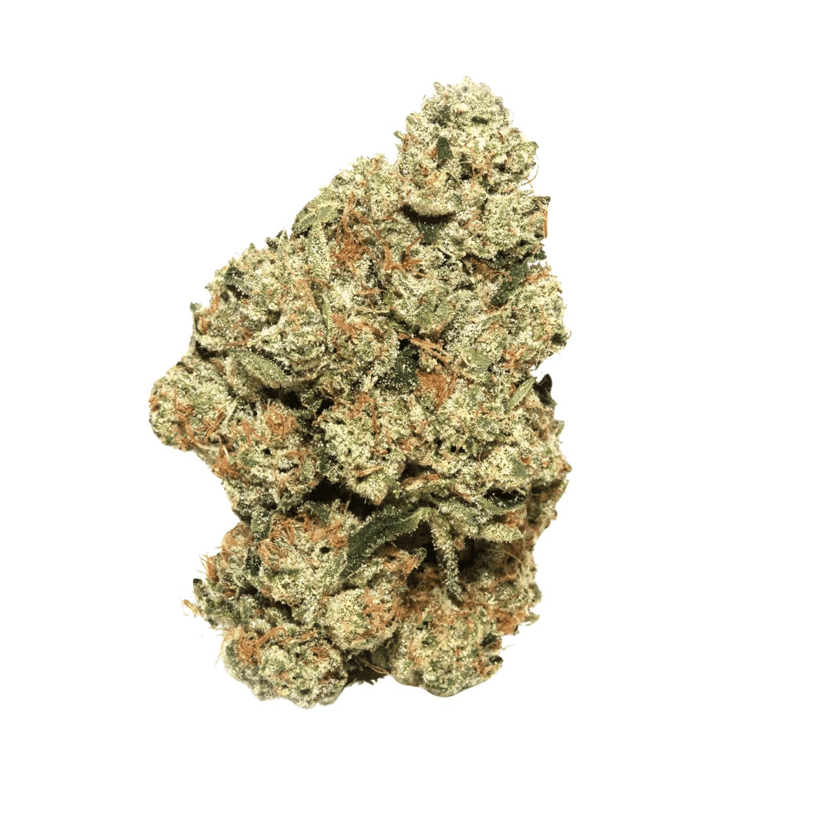 Briah MOB 25 - Motor Breath