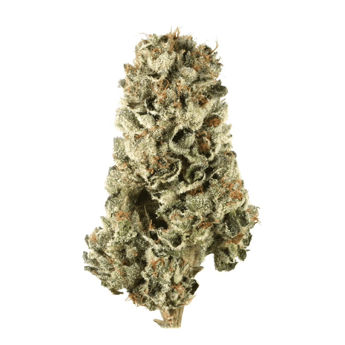 Briah LCP 30 - Lemon Cherry Pie Briah LCP 30 - Lemon Cherry Pie