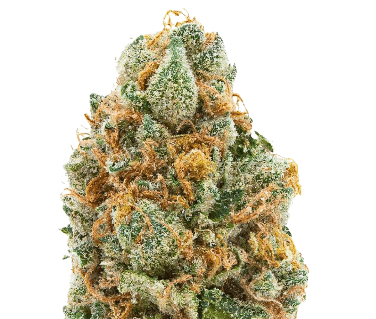 IMC TR7 THC25 - Banana Tsunami