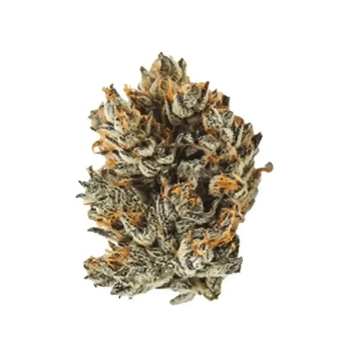 IMC THC24 GGA - Purple Grape