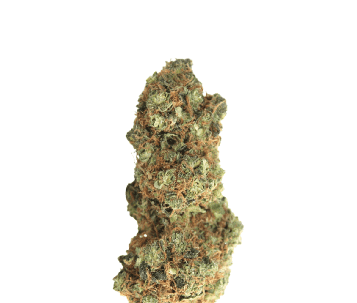 Medicus 24/1 YAR RND - Razzle n' Dazzle