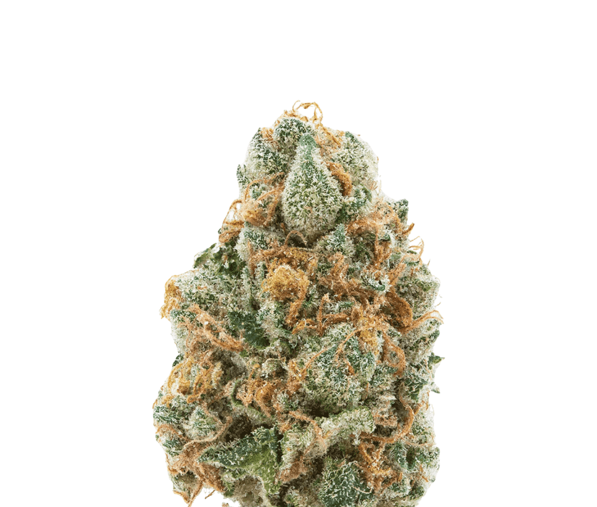 enua 30/1 JGF - Jungle Fumes enua 30/1 JGF - Jungle Fumes