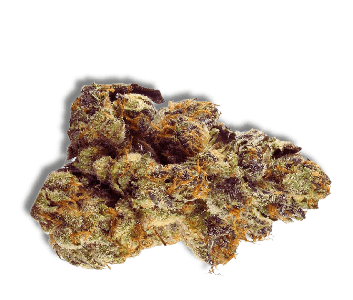 LOT 420 GLT - Gelato 33