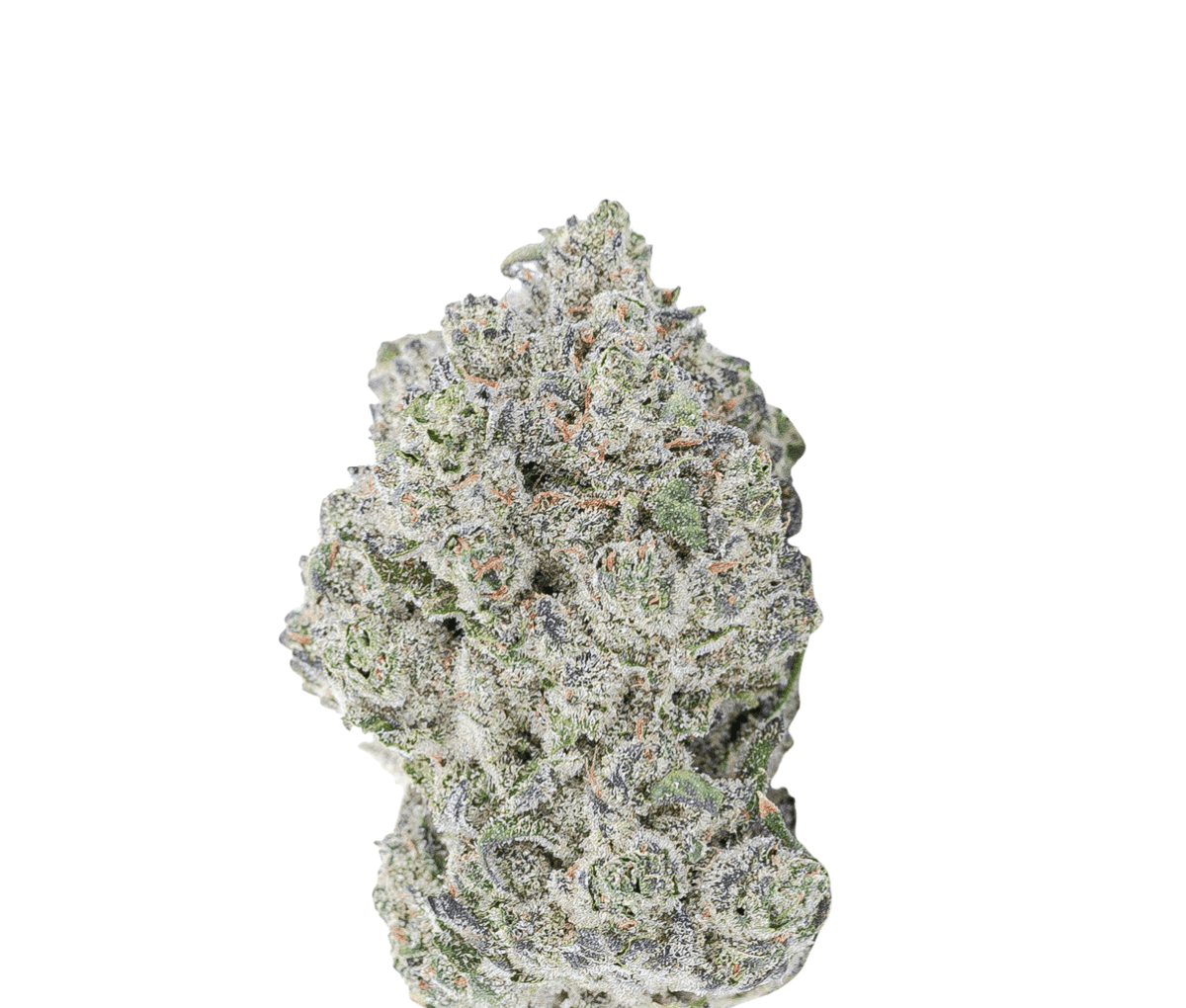 Pretty Smalls ICC 21/1 Ice Cream Cake Pretty Smalls ICC 21/1 Ice Cream Cake