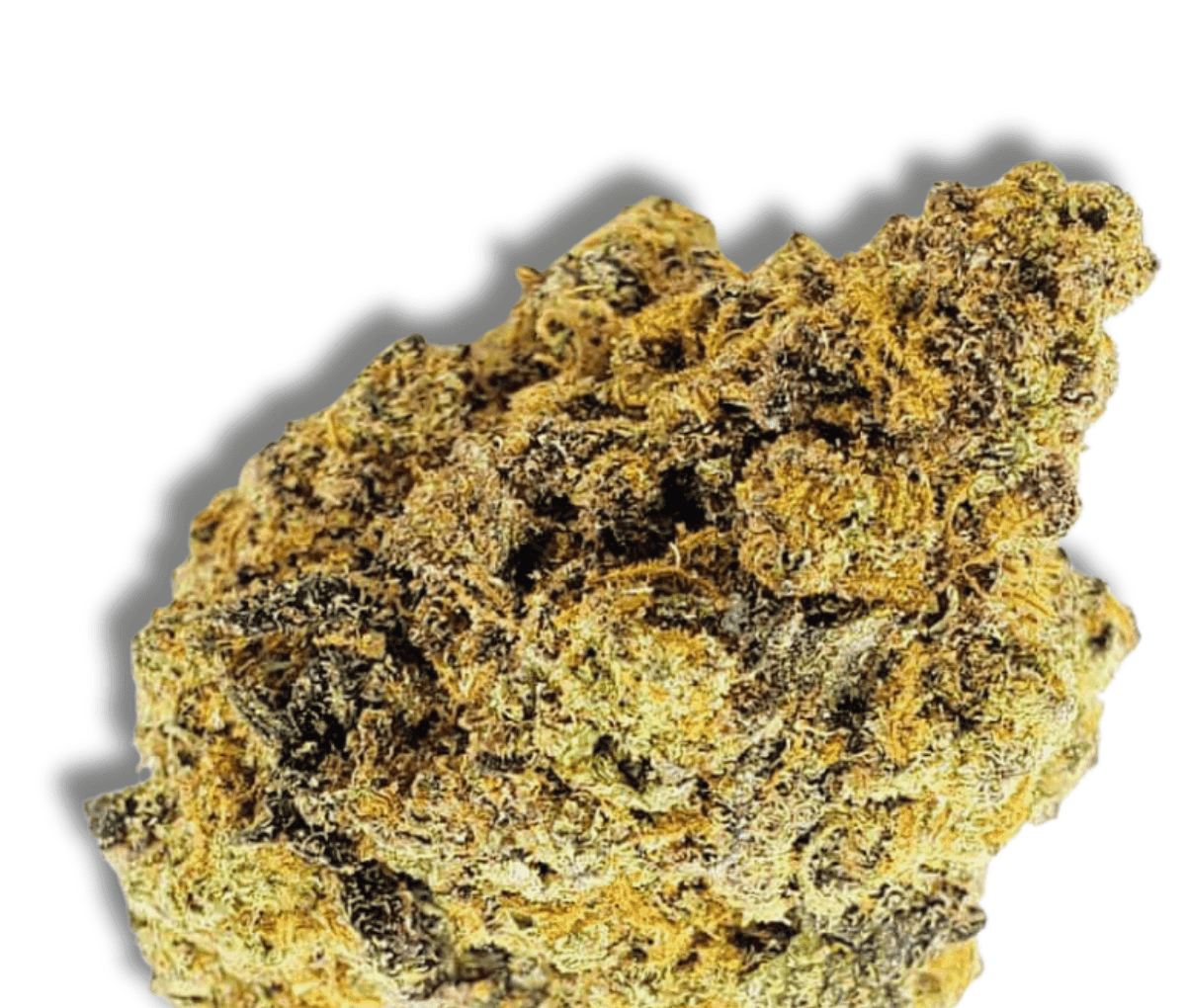 Remexian 30/1 JUC - Jungle Cake Remexian 30/1 JUC - Jungle Cake