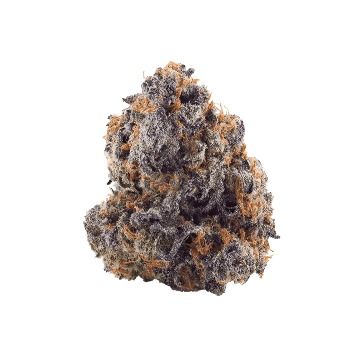Medical Saints 27/1 PKG - Pink Gas