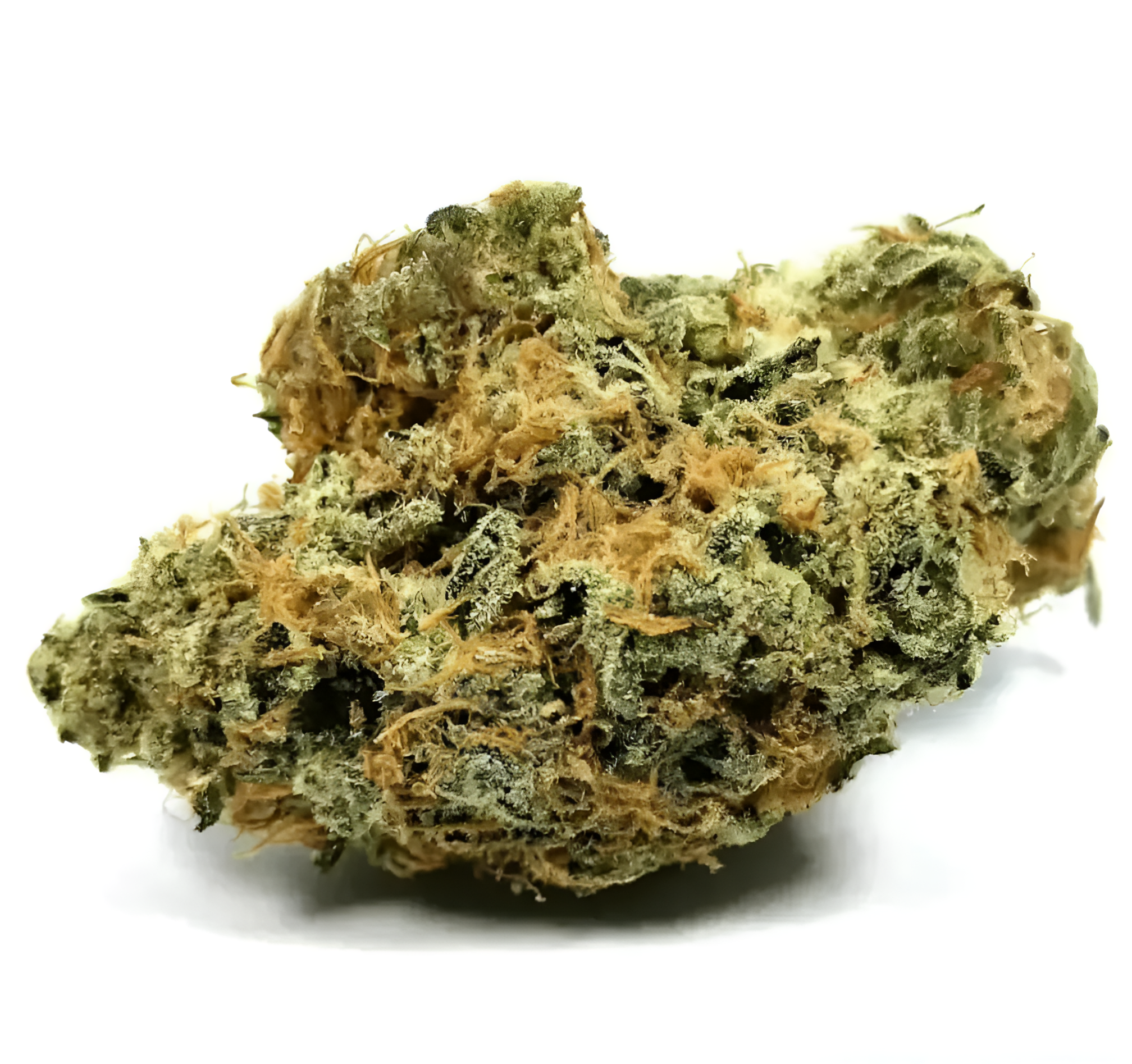 Nimbus Easy 26/1 La Sage Nimbus Easy 26/1 La Sage