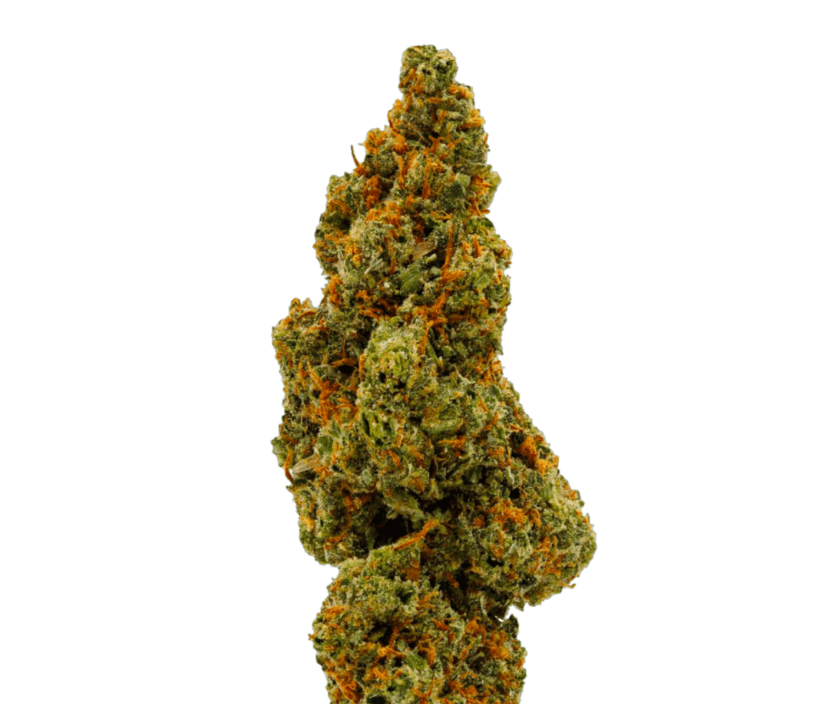 Sinceritas Sativa Verum 24/1 Kush Mints Sinceritas Sativa Verum 24/1 Kush Mints