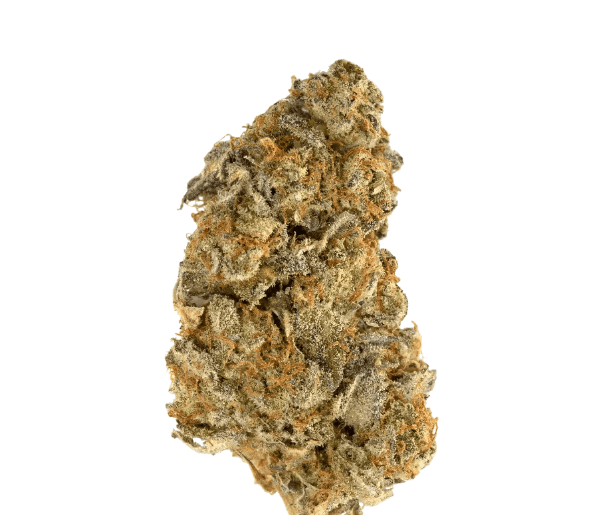 Drapalin 27/1 Full Gas - Mandarin Sunset x Ethos Cookies