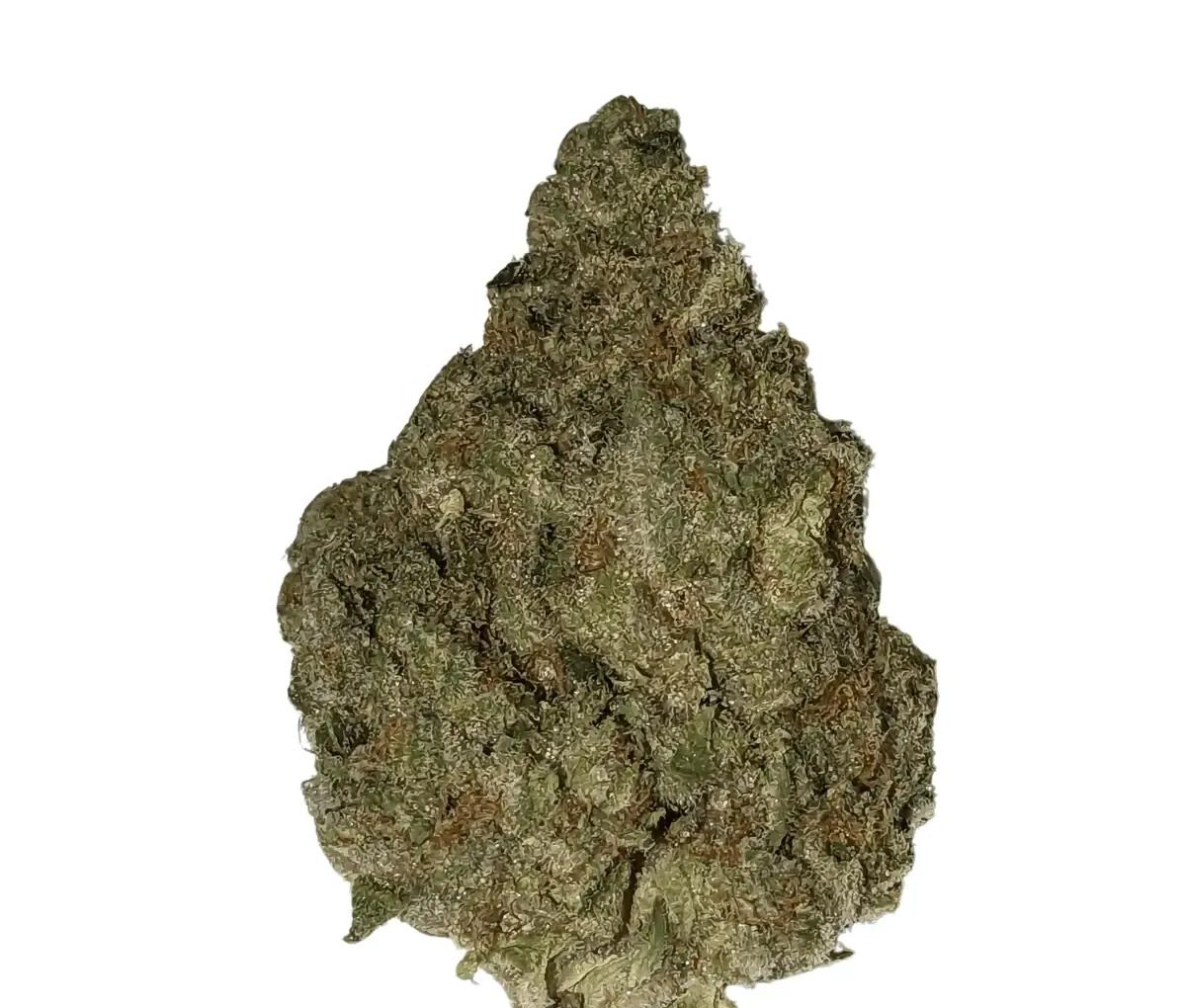 Demecan CRAFT D-Jungle 31:01 - Purple Punch X Jungle Cake Demecan CRAFT D-Jungle 31:01 - Purple Punch X Jungle Cake