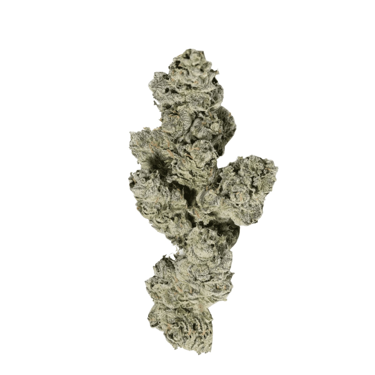 Demecan CV Regular Drop 25/1 - Banana Kush Demecan CV Regular Drop 25/1 - Banana Kush