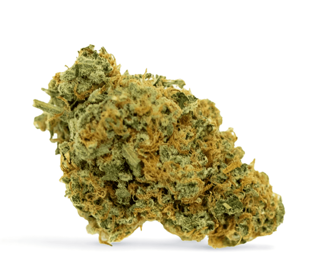  Origine Nature Chem 25/1 - Chemdawg OG