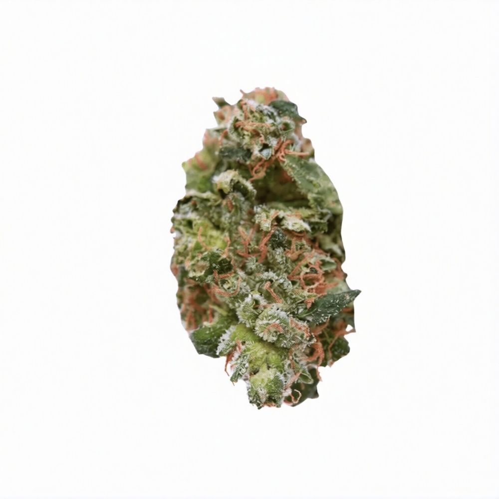 Legacy 31/1 NXN SPZ - Spritzer