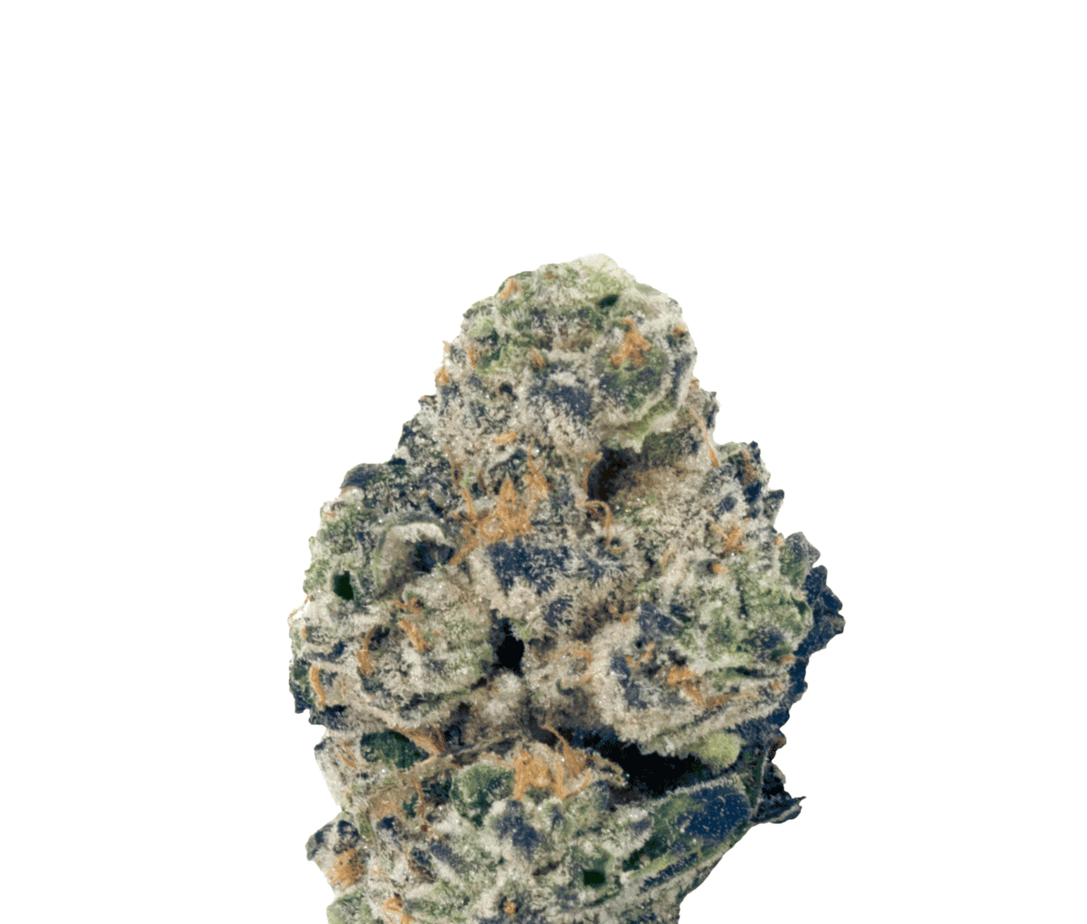 Wellford Peak CA PKM 28/1 - Pink Kush Mints