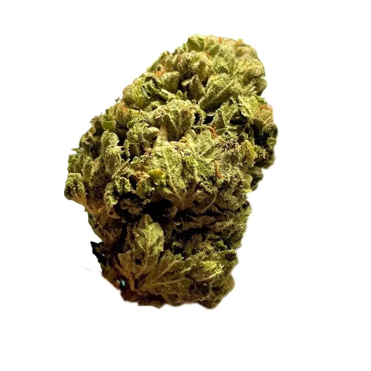 Canopy AKH 25 Afghan Kush Canopy AKH 25 Afghan Kush