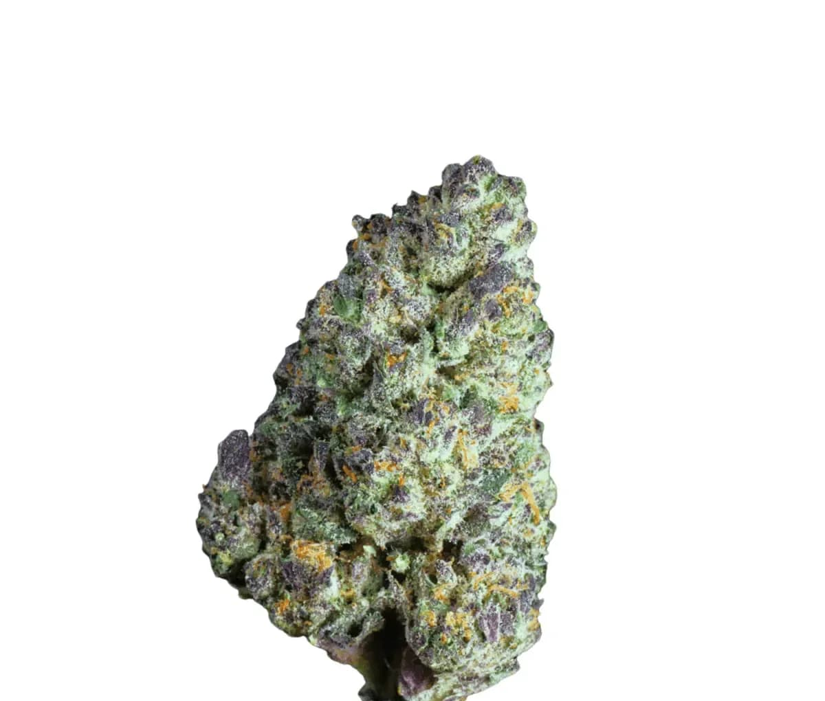 Canify Cannabis Flos 25/1 CSF Ku. - Carnez Citric Canify Cannabis Flos 25/1 CSF Ku. - Carnez Citric