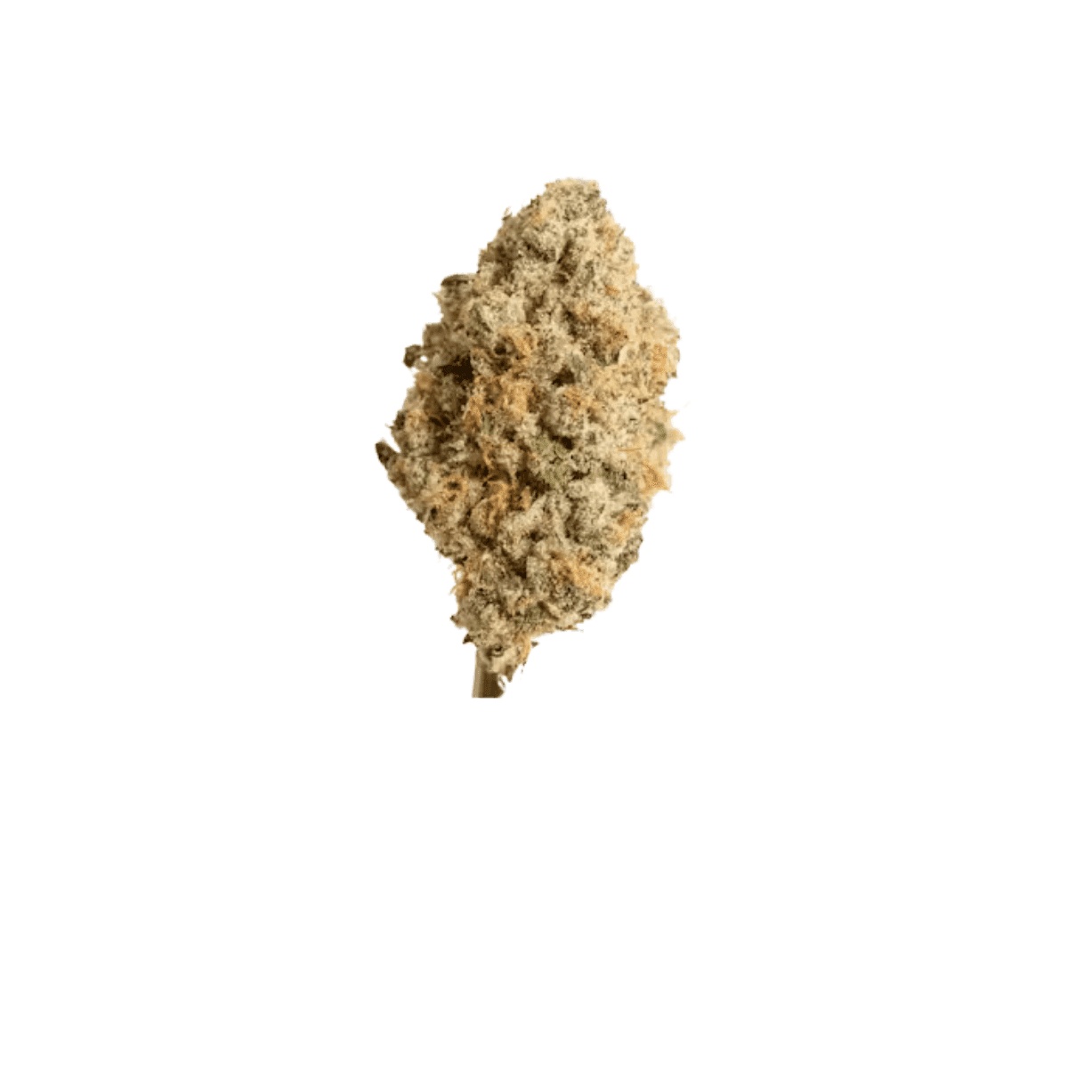 CannGo 26/1 WG - Vegas Wedding Cake