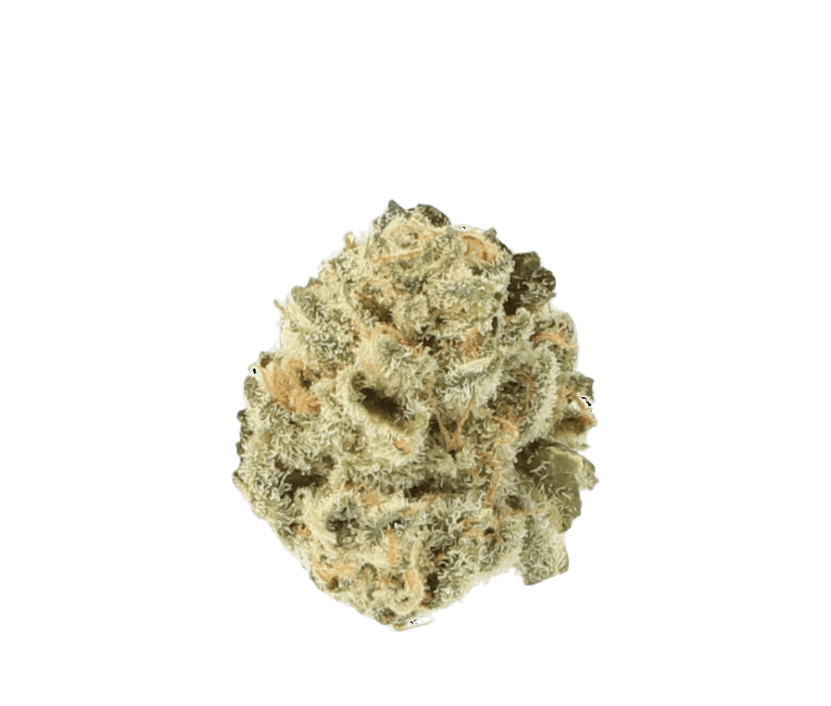 Cannamedical Indica forte - El Jefe Cannamedical Indica forte - El Jefe