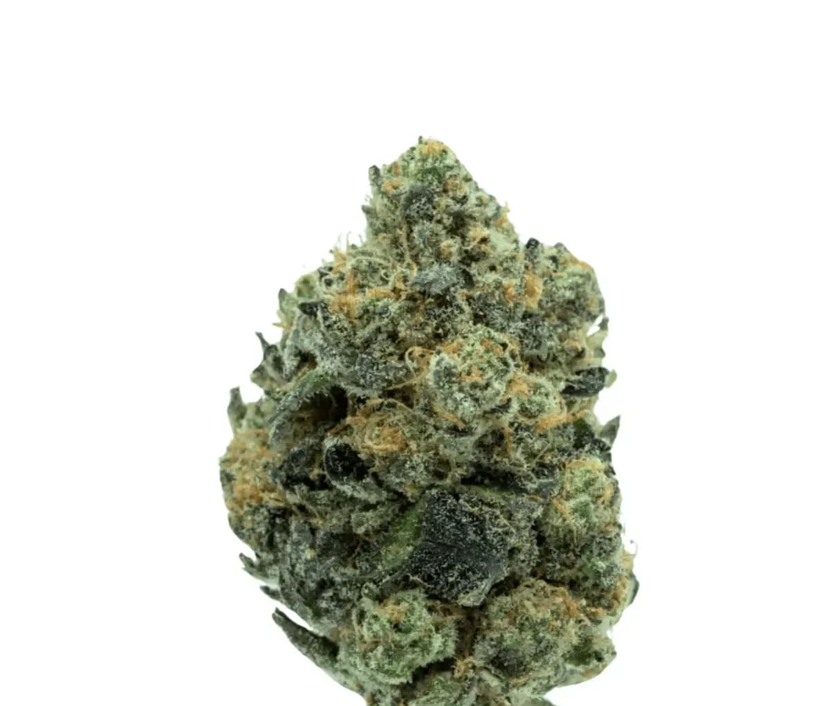 TRUU GT 30:01 - Cookies OG