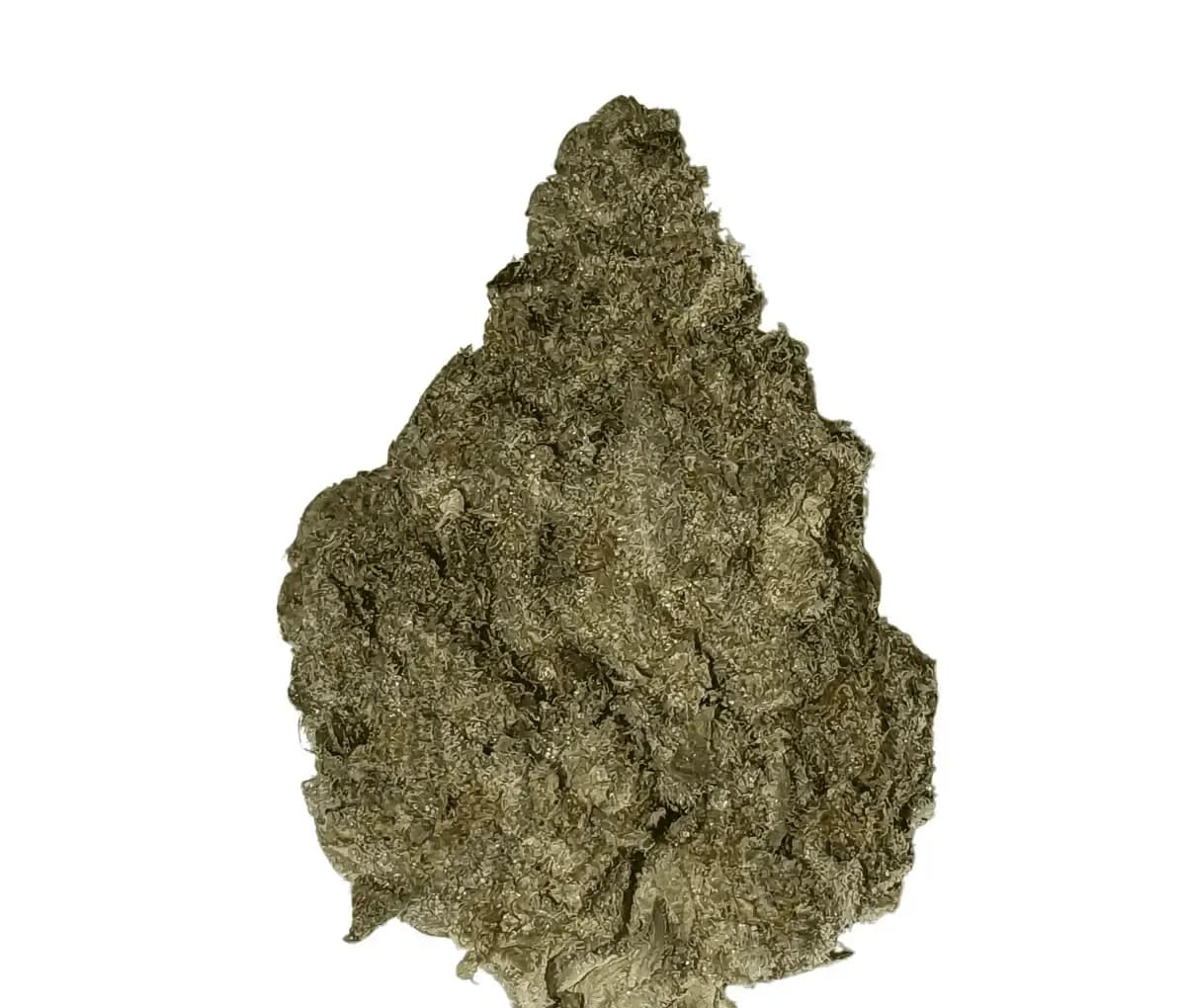 Demecan Core Horizon 27:01 Lava Cake