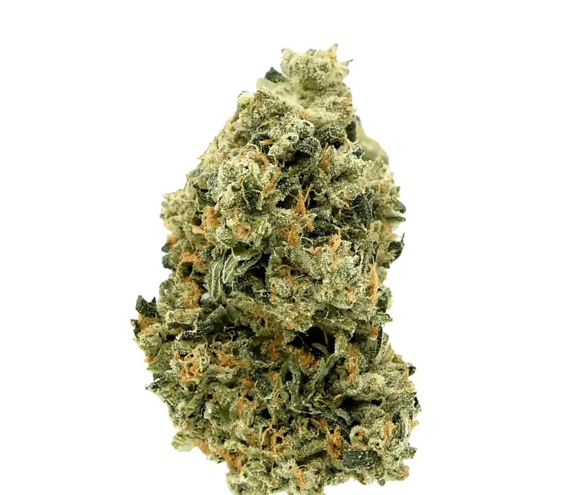 CNBS VV 26/1 - Varnish Vapor CNBS VV 26/1 - Varnish Vapor