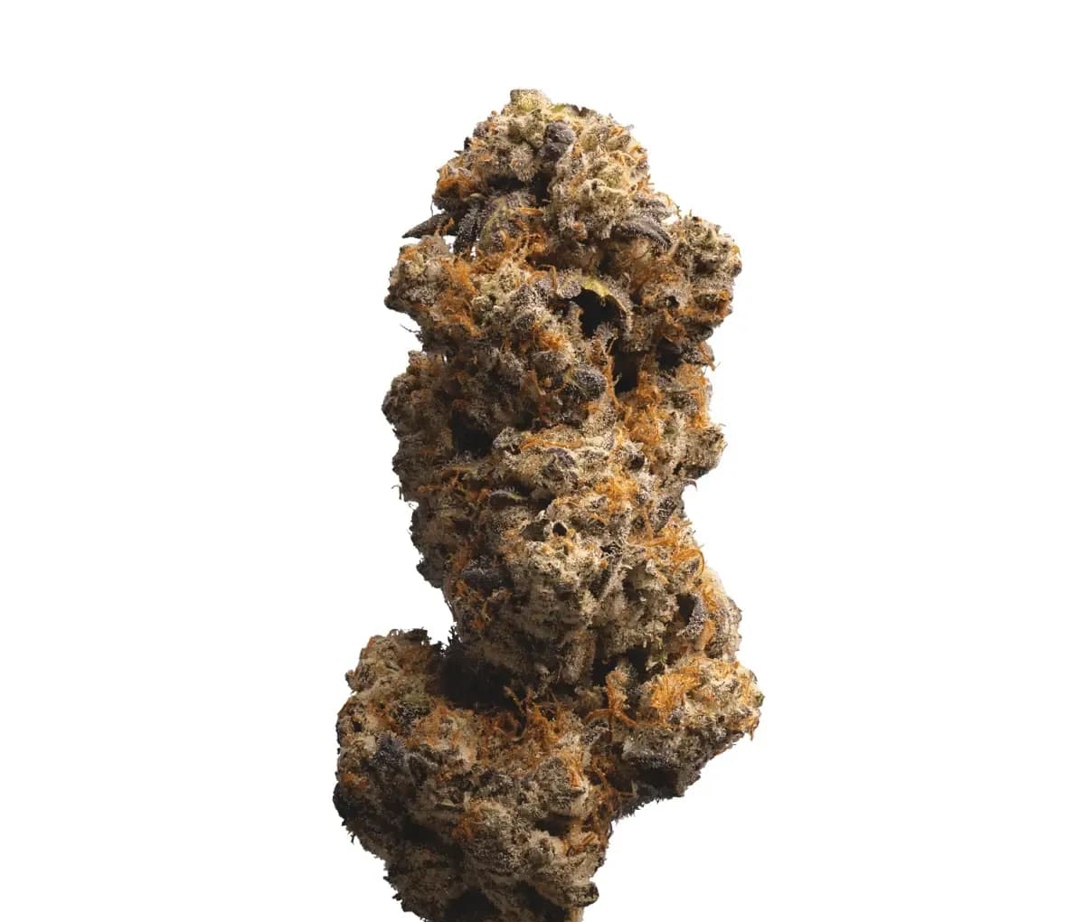 Demecan Core Purple Twist 26:01 RS11 - Rainbow Sherbert 11