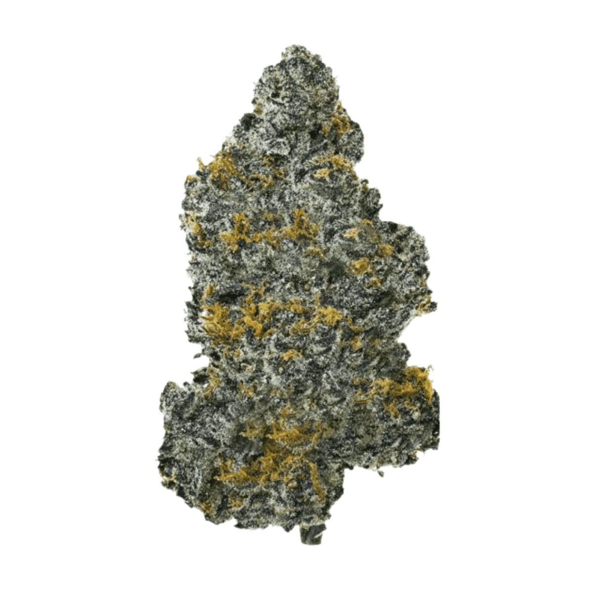 Buuo 24/1 SBLM - Sour Blue Lemon